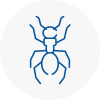 Ant Removals In Ilkeston