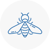 Bee Nest Removal Ilkeston