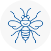 Ilkeston Hornet Nest Removals