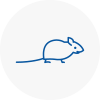 Mice Exterminators In Ilkeston