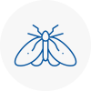 Moth Control Specialists In Ilkeston
