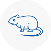 Rat Control Ilkeston