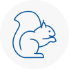 Ilkeston Rodent Removals